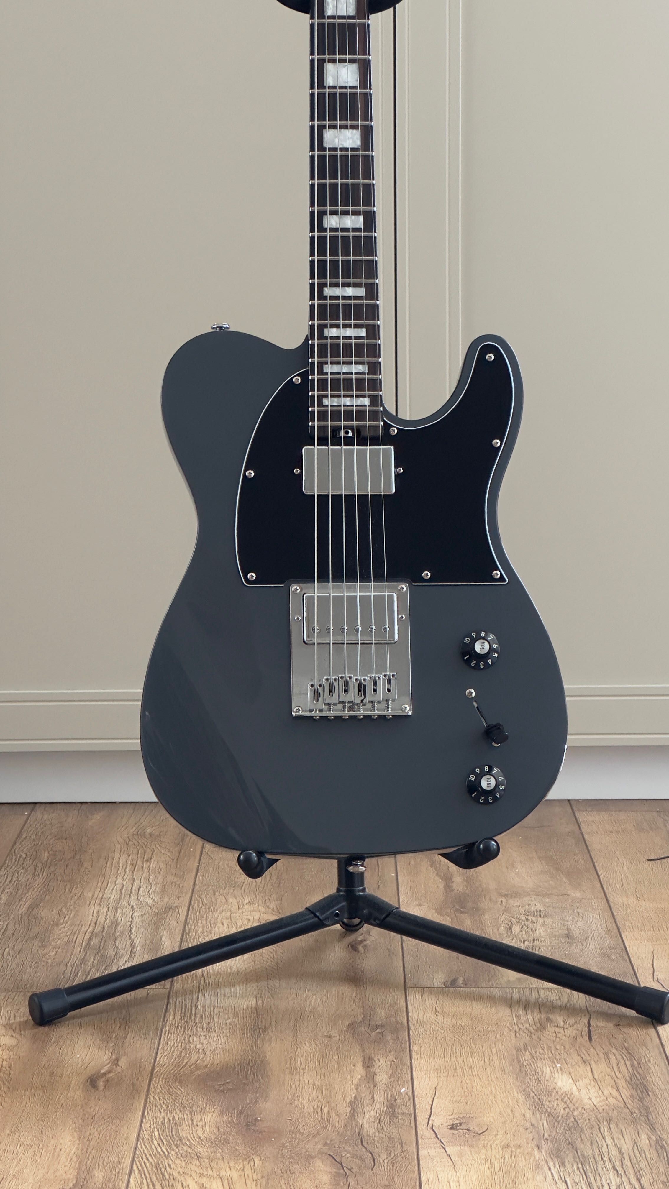 Электрогитара SCHECTER PT EX Dorian Grey