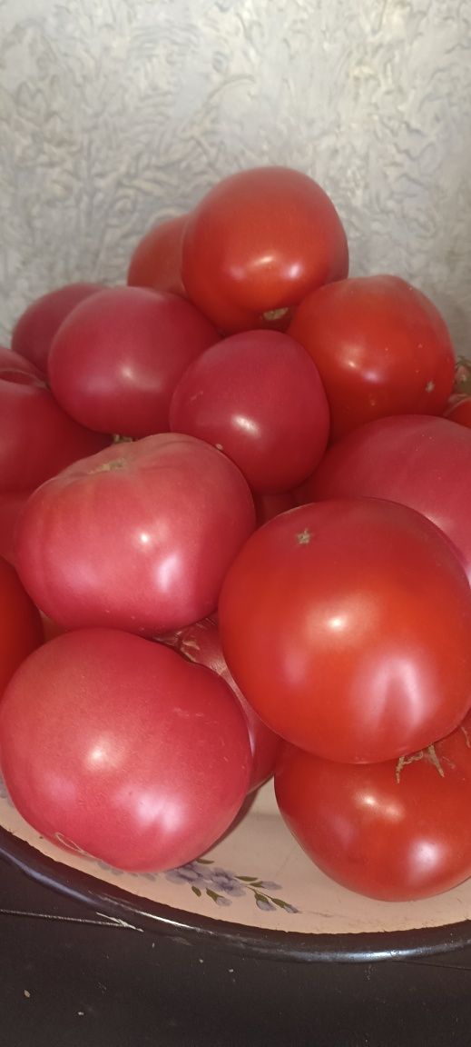 Продам домашние помидоры