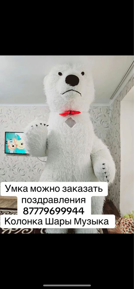 Прокат поздравления