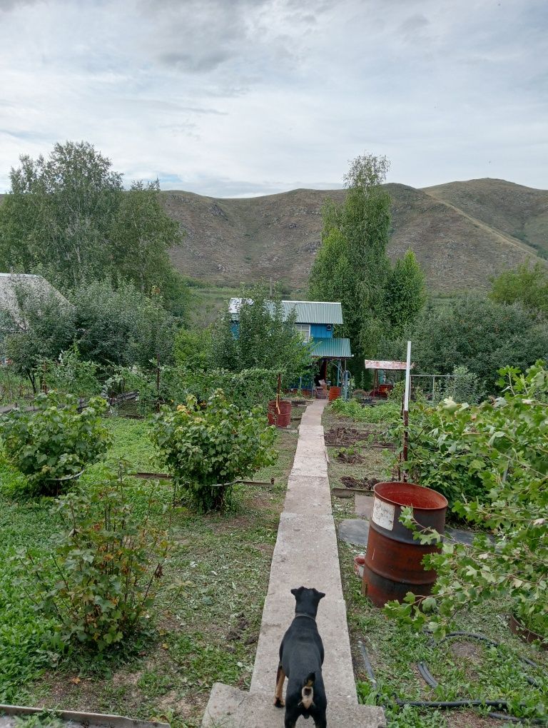 Продам дачу 49км