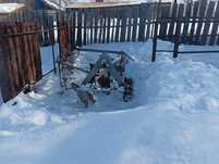 Продам 3х корпусной плуг на МТЗ
