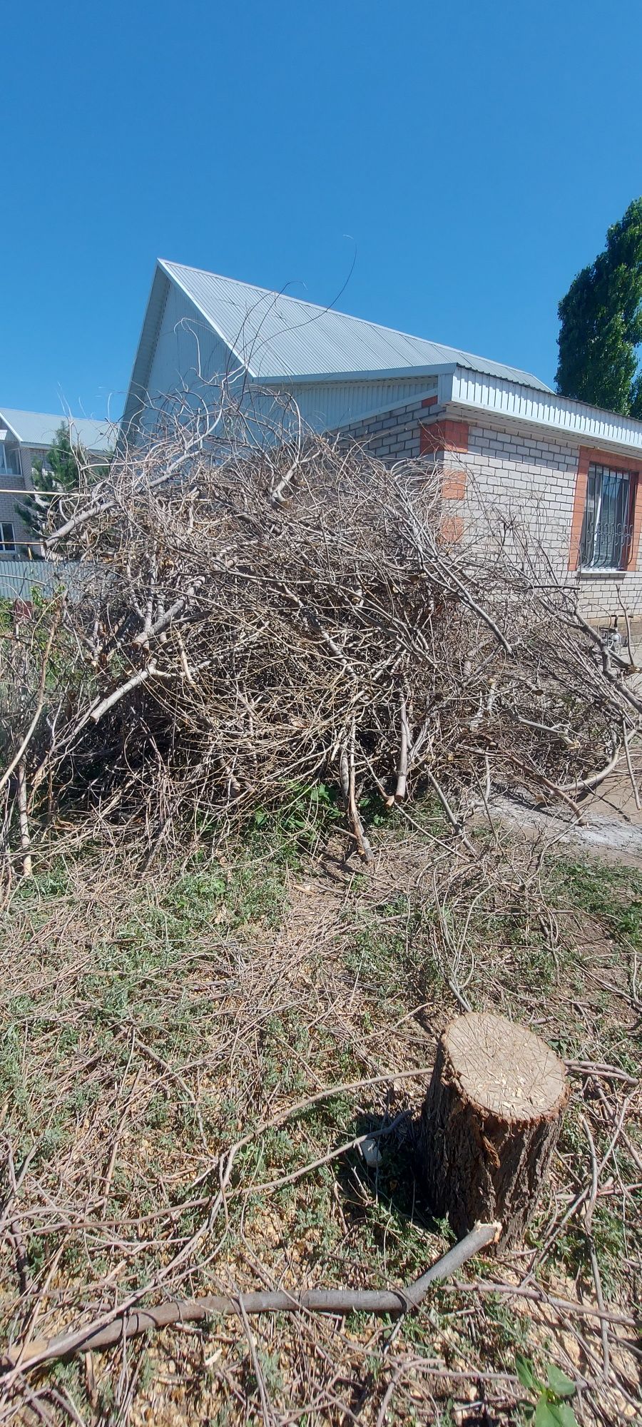 Отдам дрова даром