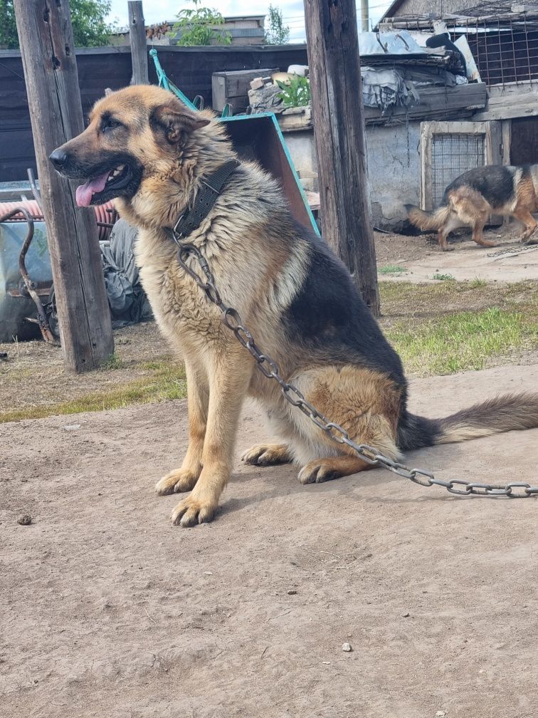 Продам кабеля на охрану