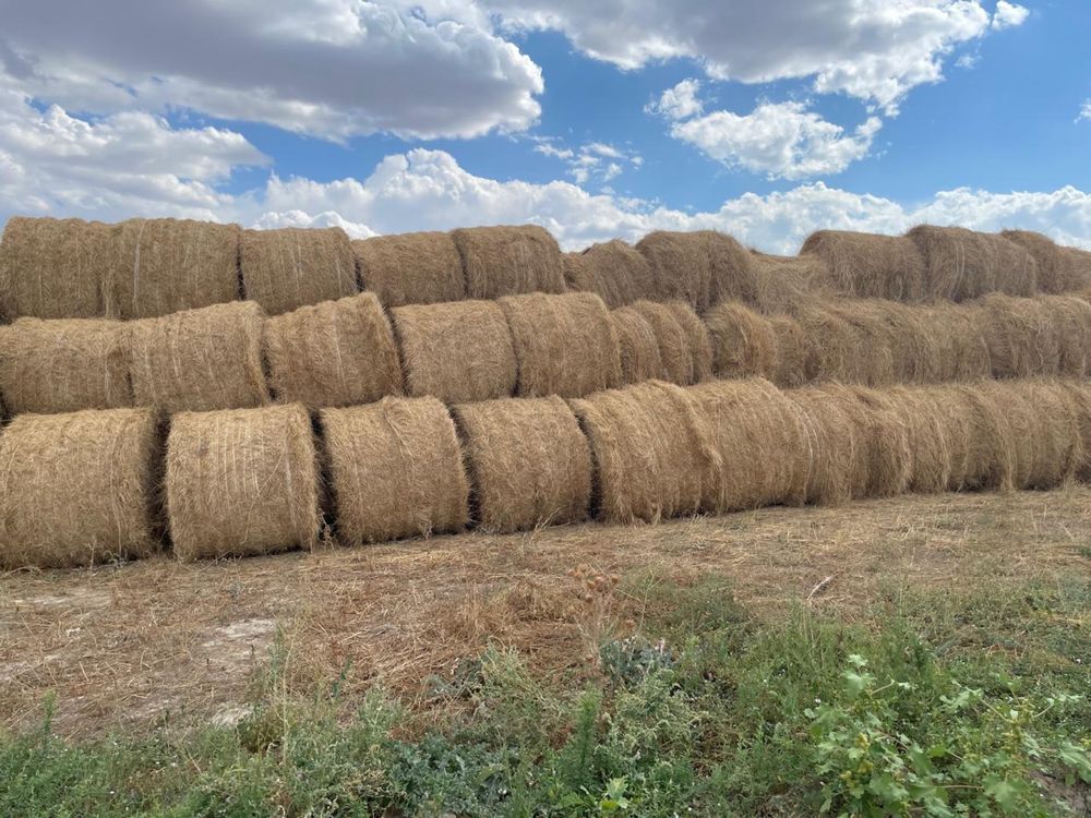 Продам солому в рулоннах и тюках из под ячменя