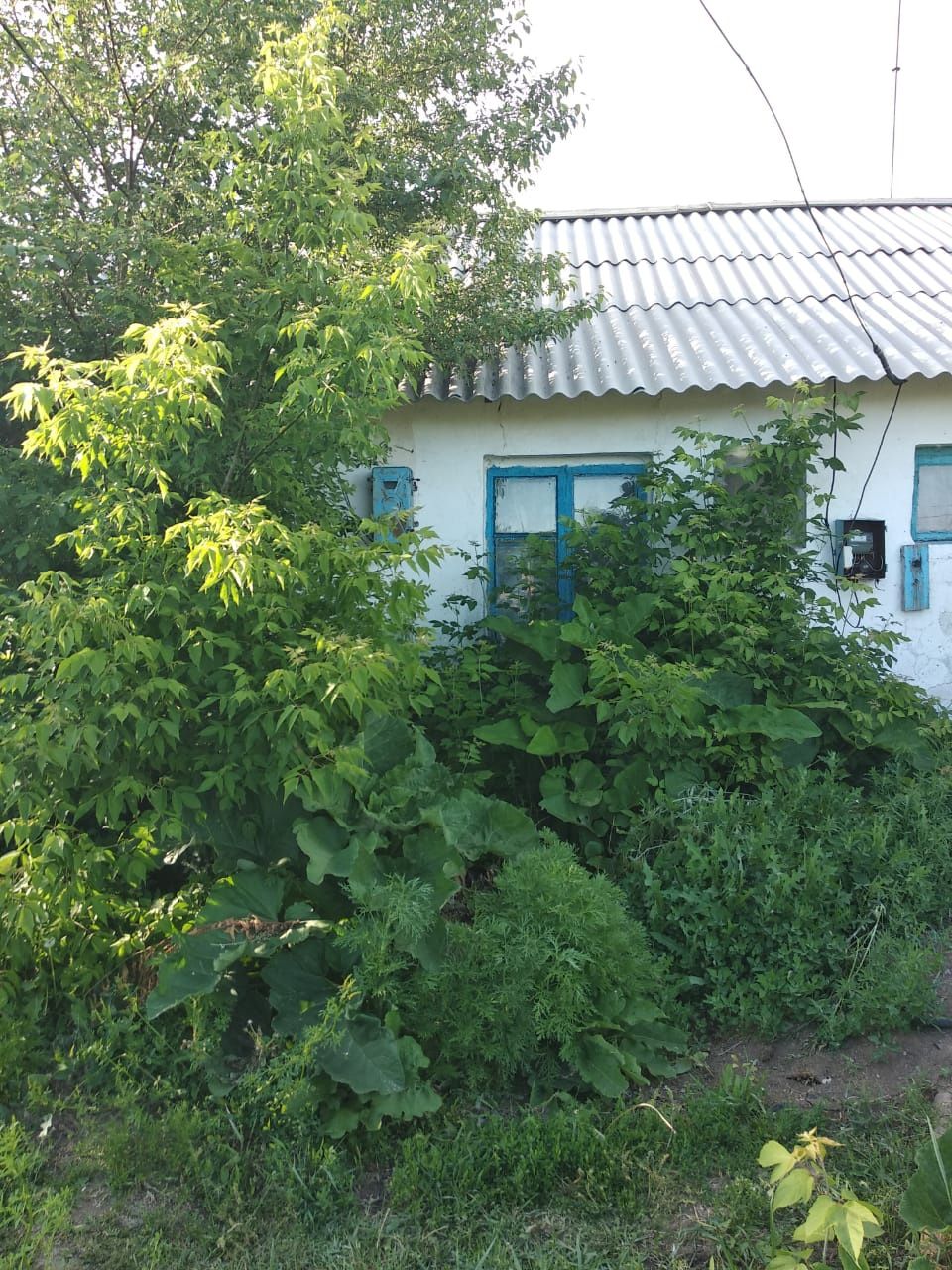 Продам дом в 50км от Астаны в с.Булаксай