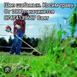 Косим траву бензотриммером. Шөп шабамын. От 1000тг начинется.