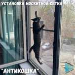 Москитные сетки антикошка. Ремонт окон и дверей. Подоконники. Откосы.