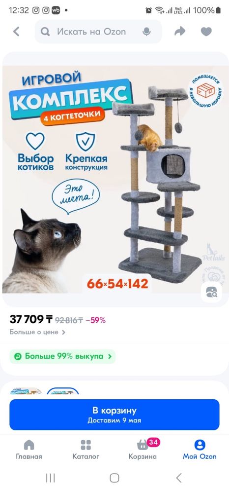 кошачий игровой комплекс