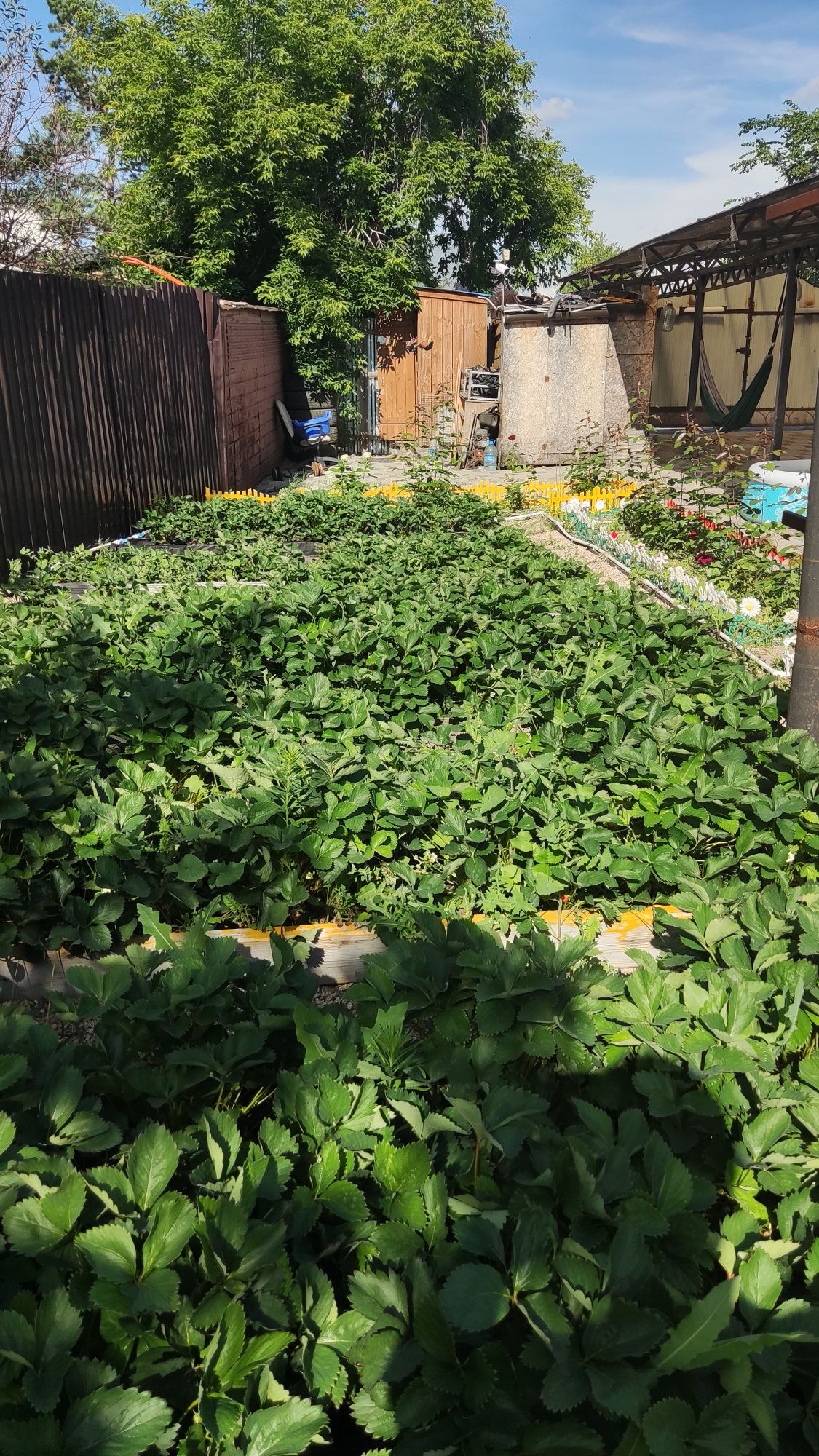 Продам 3 комнатный дом, 65 кв, район 17 школы.