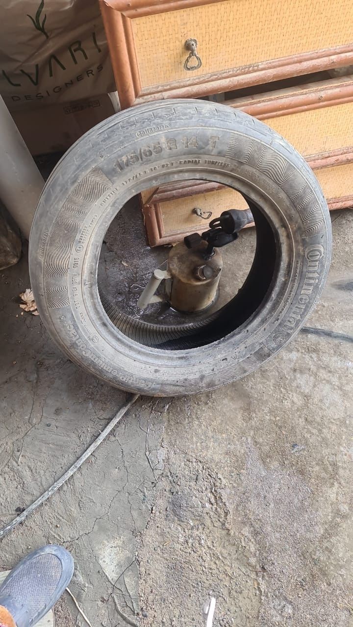 Шина летние на зап