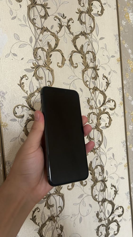 Iphone 11 pro состояние зор