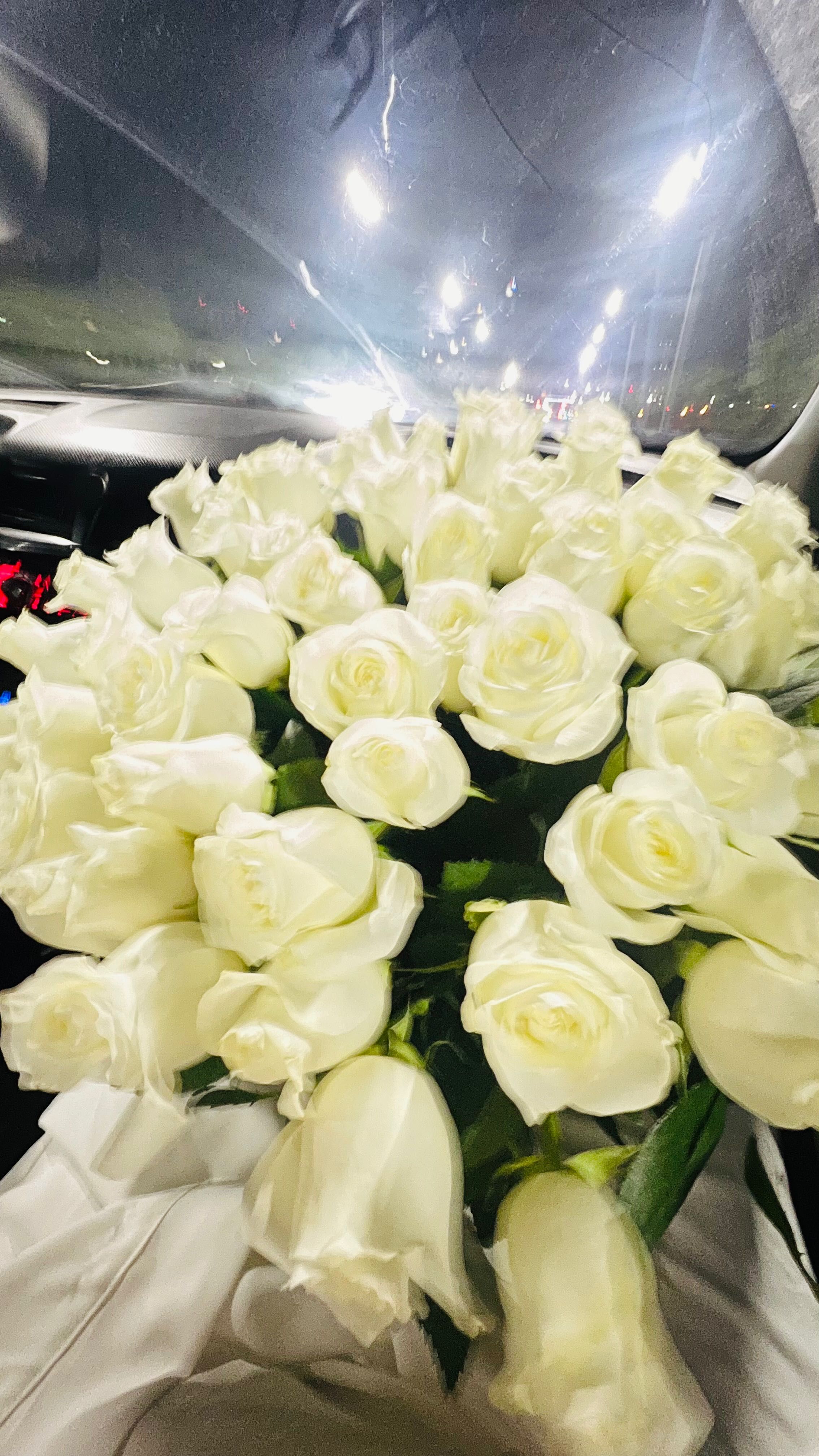 51 роза метровый