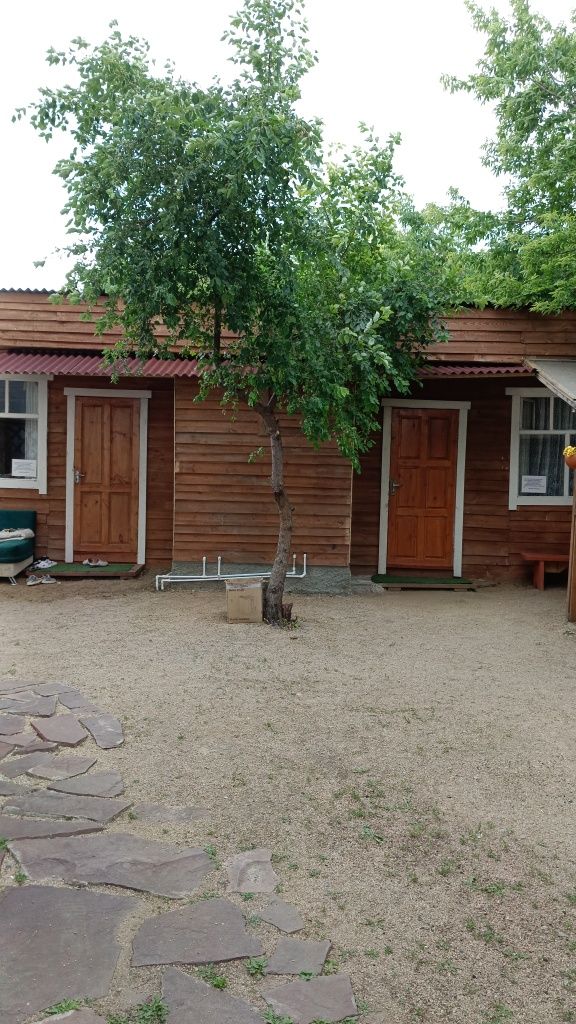 Сдам домики в Боровой в центре