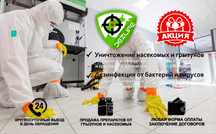 Дезинфекция от клопов тараканов блох крыс мышей АКЦИЯ