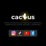 Комплексное продвижение в социальных сетях