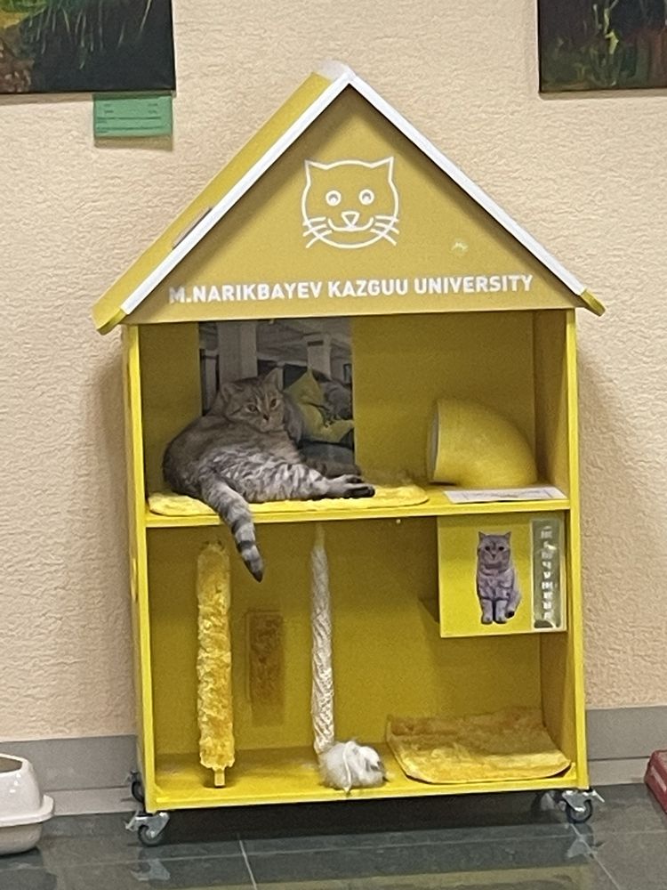 Продам домик для кошки когтеточка