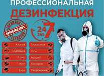 Дезинсекция и Дезинфекция По городу Тараз Не дорого! Гарантия 100%