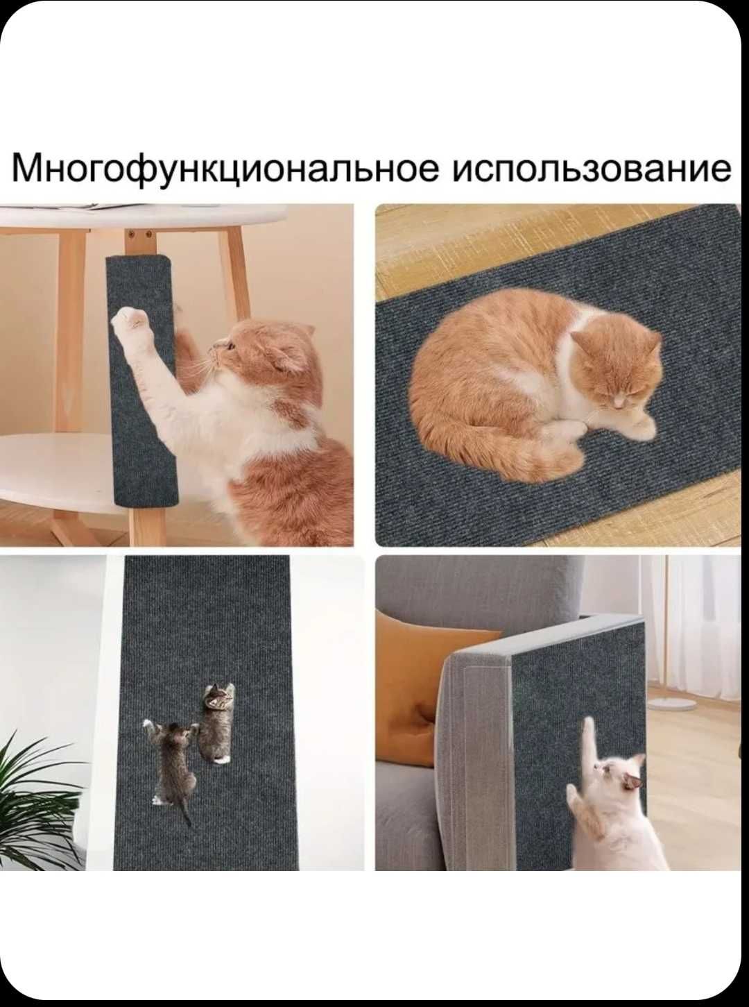 Когтиточка самоклеющаяся Защита антикоготь