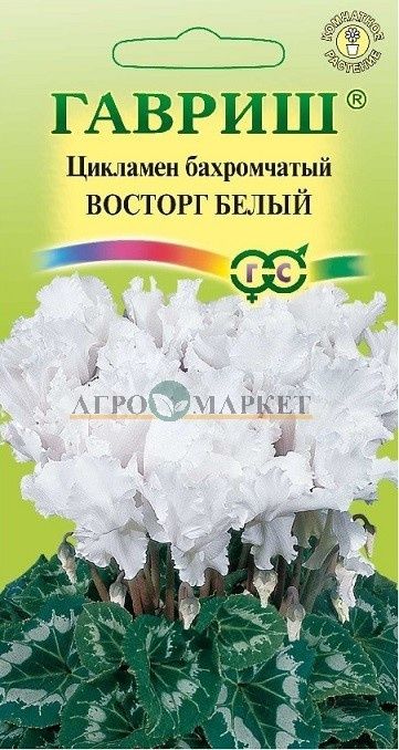 Продам комнатные цветы
