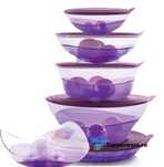 Tupperware набор "Элегантность"