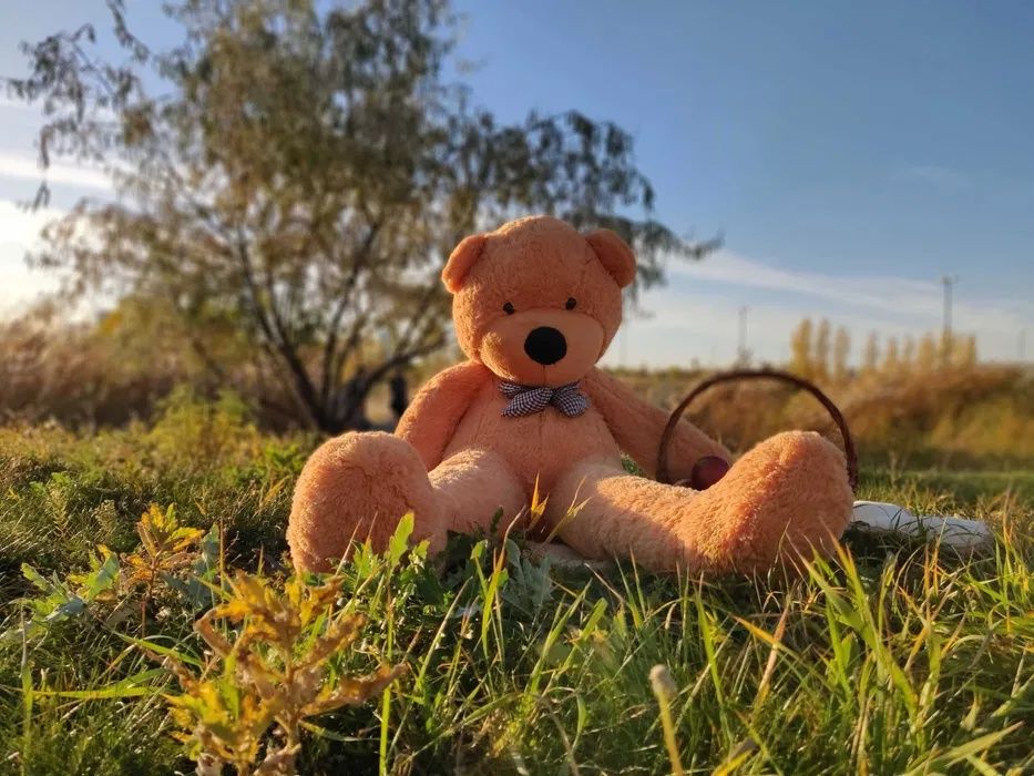 Плюшевые медведи мишки Нестор| мишки Teddy | СКИДКИ