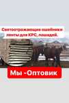 Түйе,жылқы,сиырға арналған жарық шағылыстырғыш
1 000 тг.