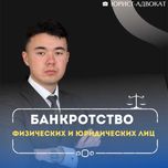 Юрист-Адвокат, Банкротство физ. и юр. лиц , Графики, Аресты