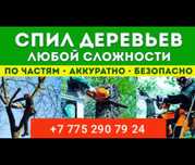 Спилить дерево, спилить сухостой, спилить ветки