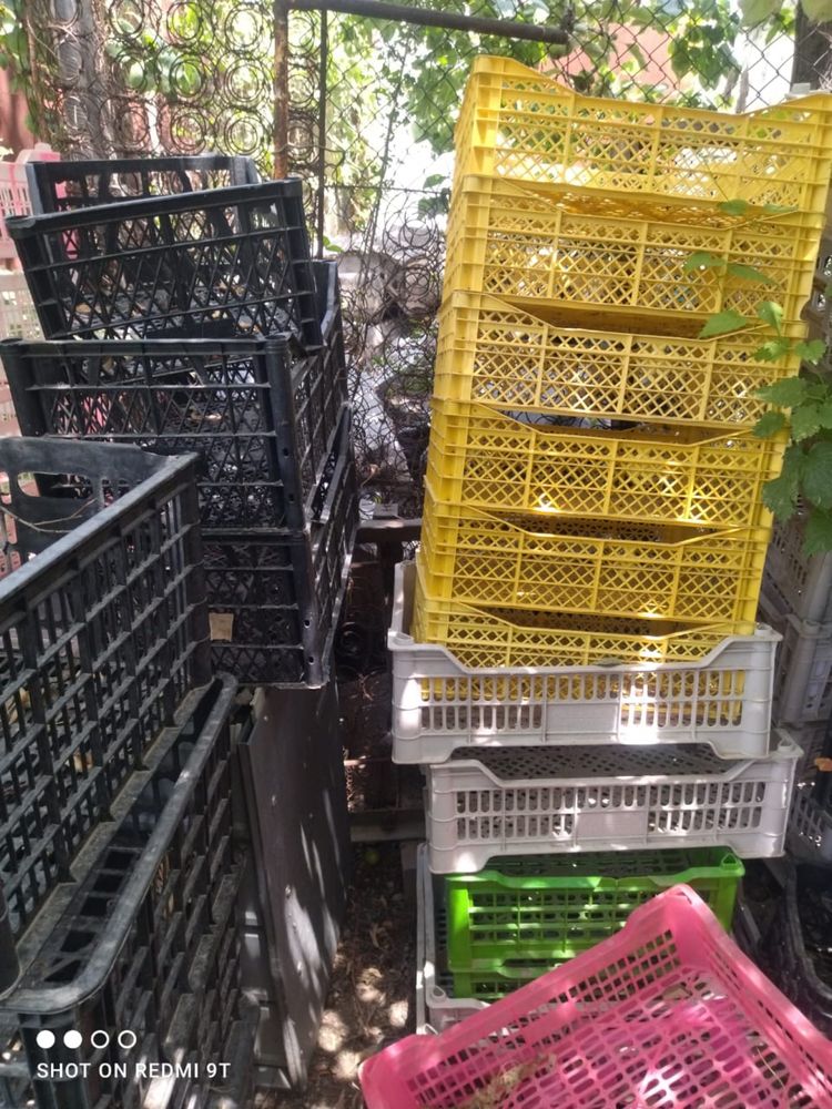 Продам ящики для фрутов/овощей