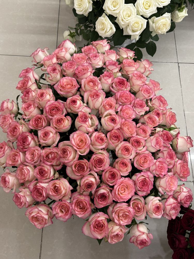 Свежие розы  белые розовые красные