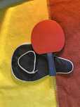 Ракетка для настолько тенниса Butterfly Timo Boll Gold