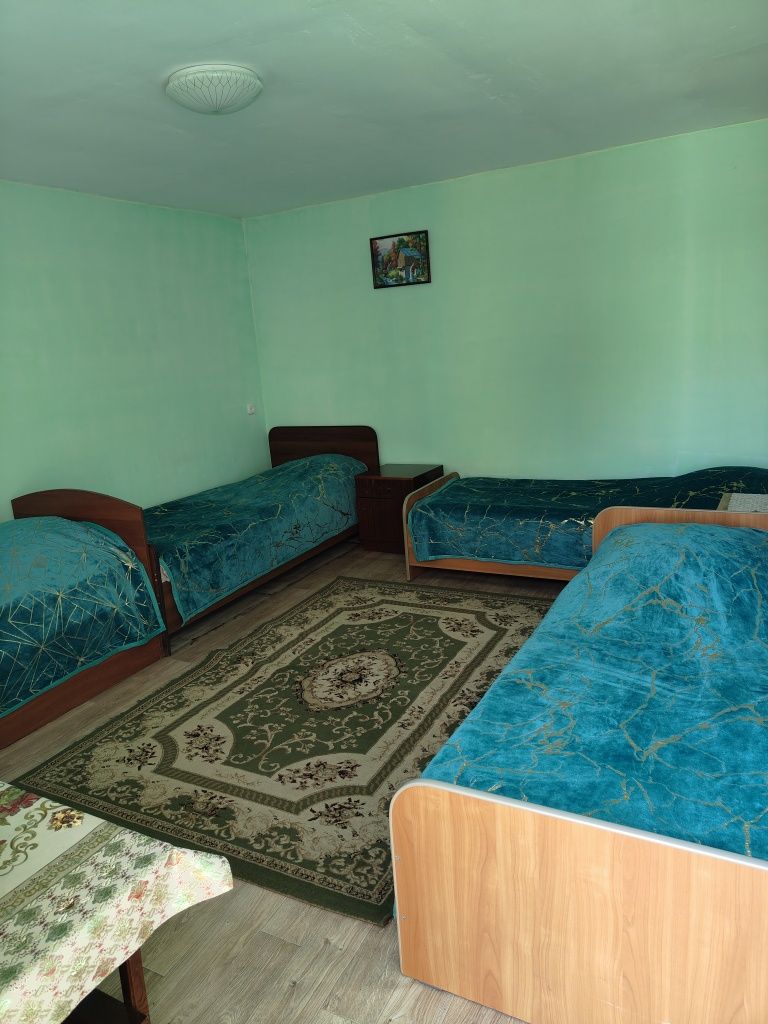Сдам домики в Боровом