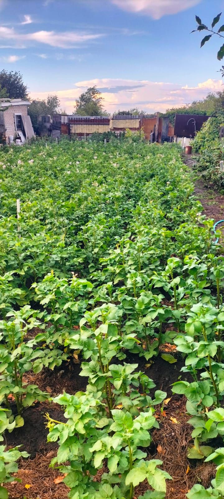 Продам дачу Текстильщик 2