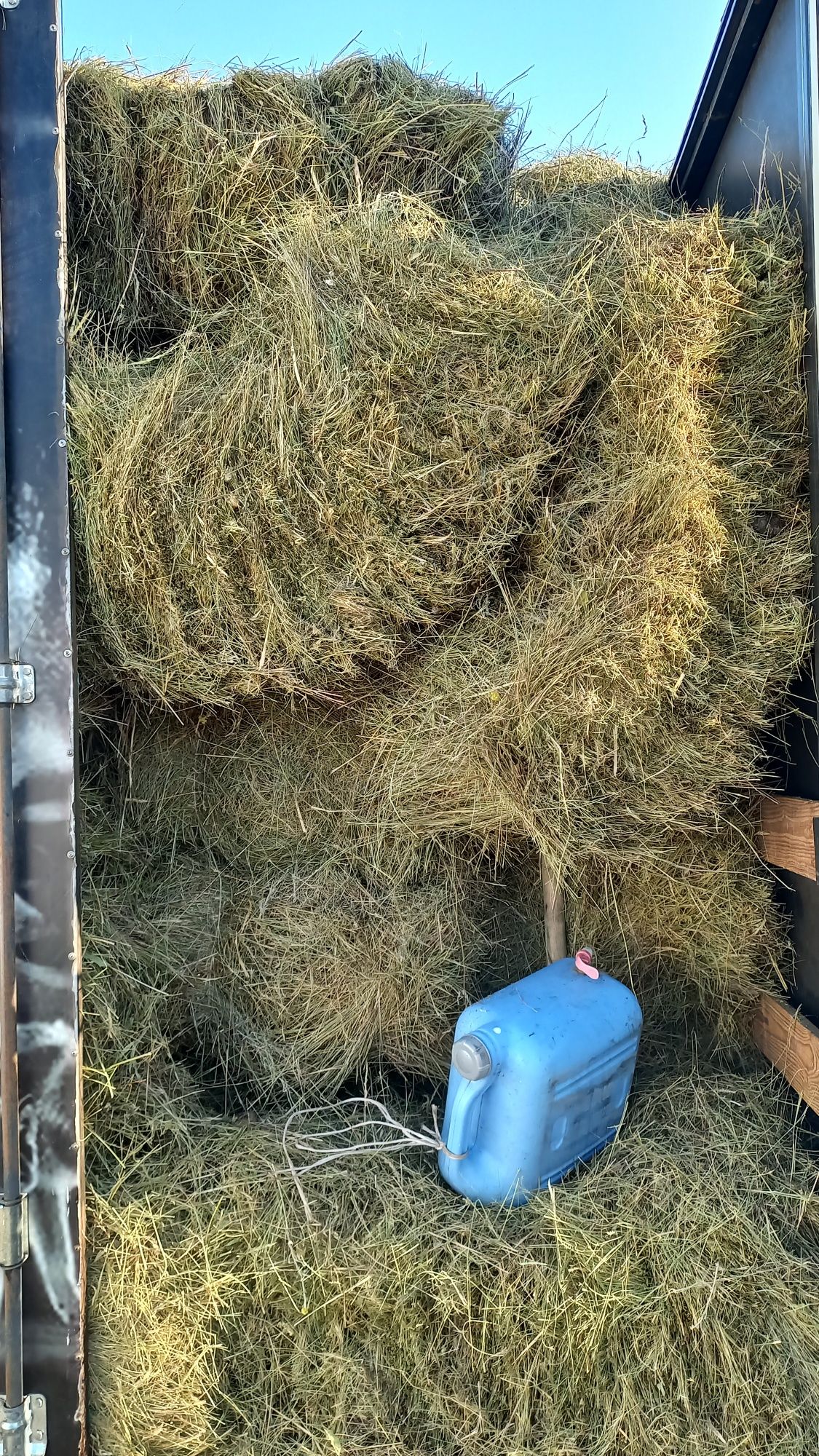 Продам сено разнотравье