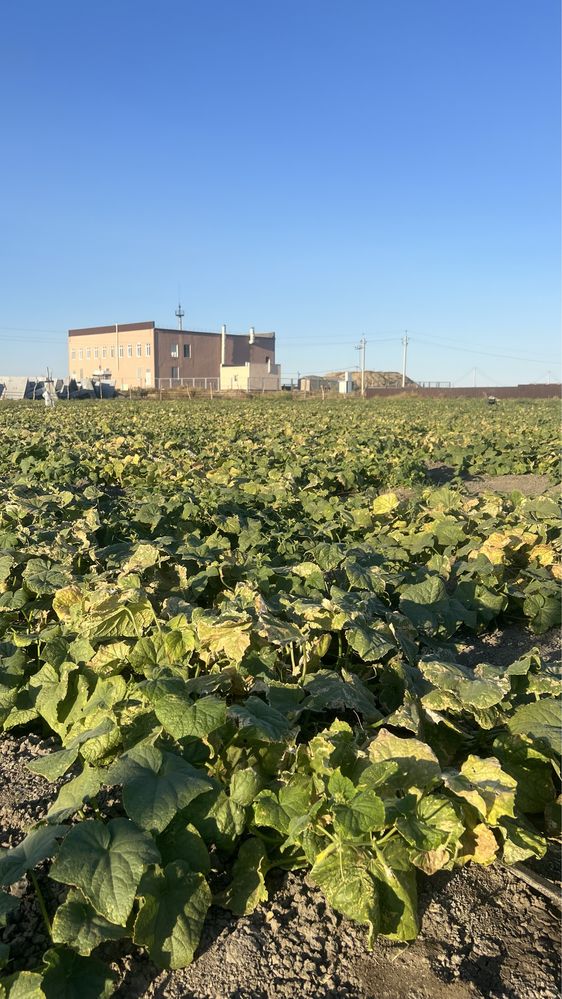 Продаётся производственная база 1 один гектар участком
