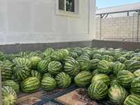 Карбыз бар арбуз 100тг
