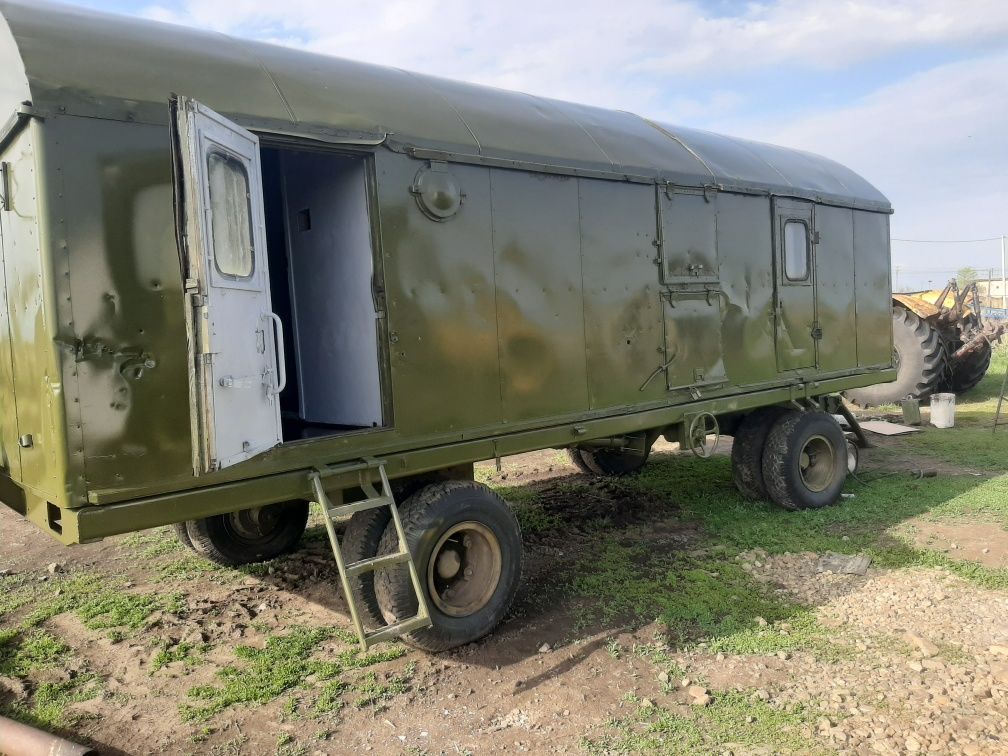 Вогончик полевой