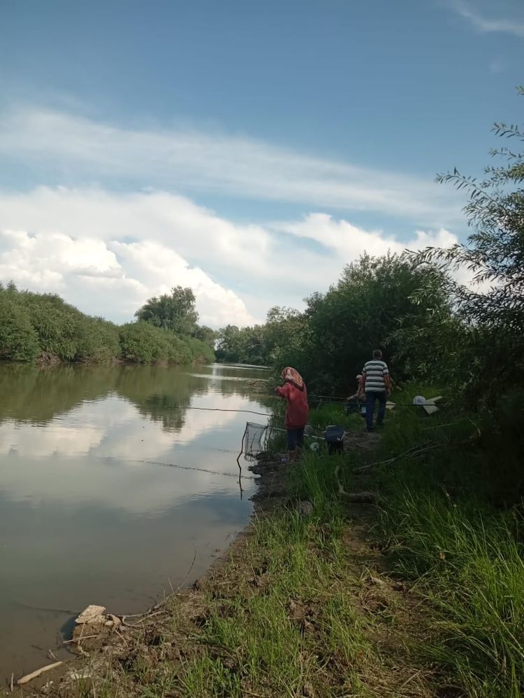 продам фермерское хозяйство