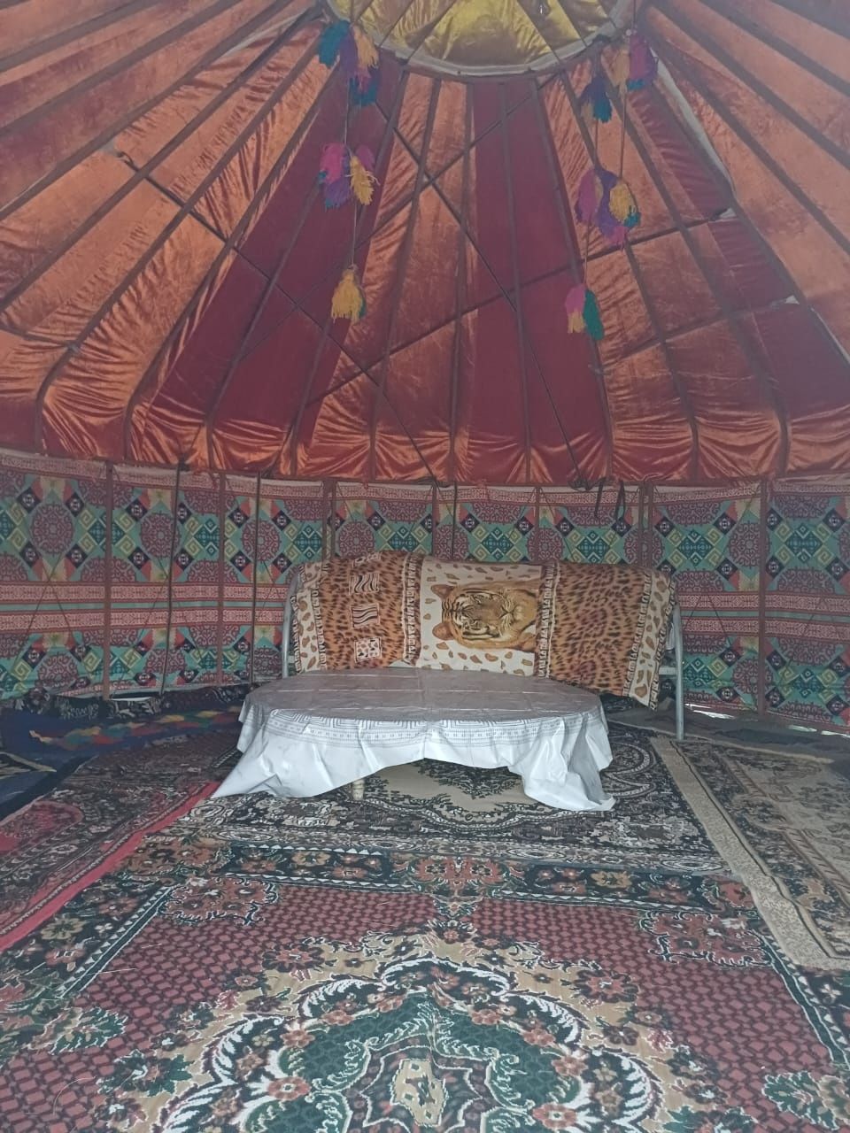 Юрты в центре Жасыбай