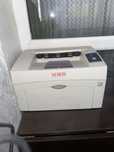 принтер Xerox Phaser 3117