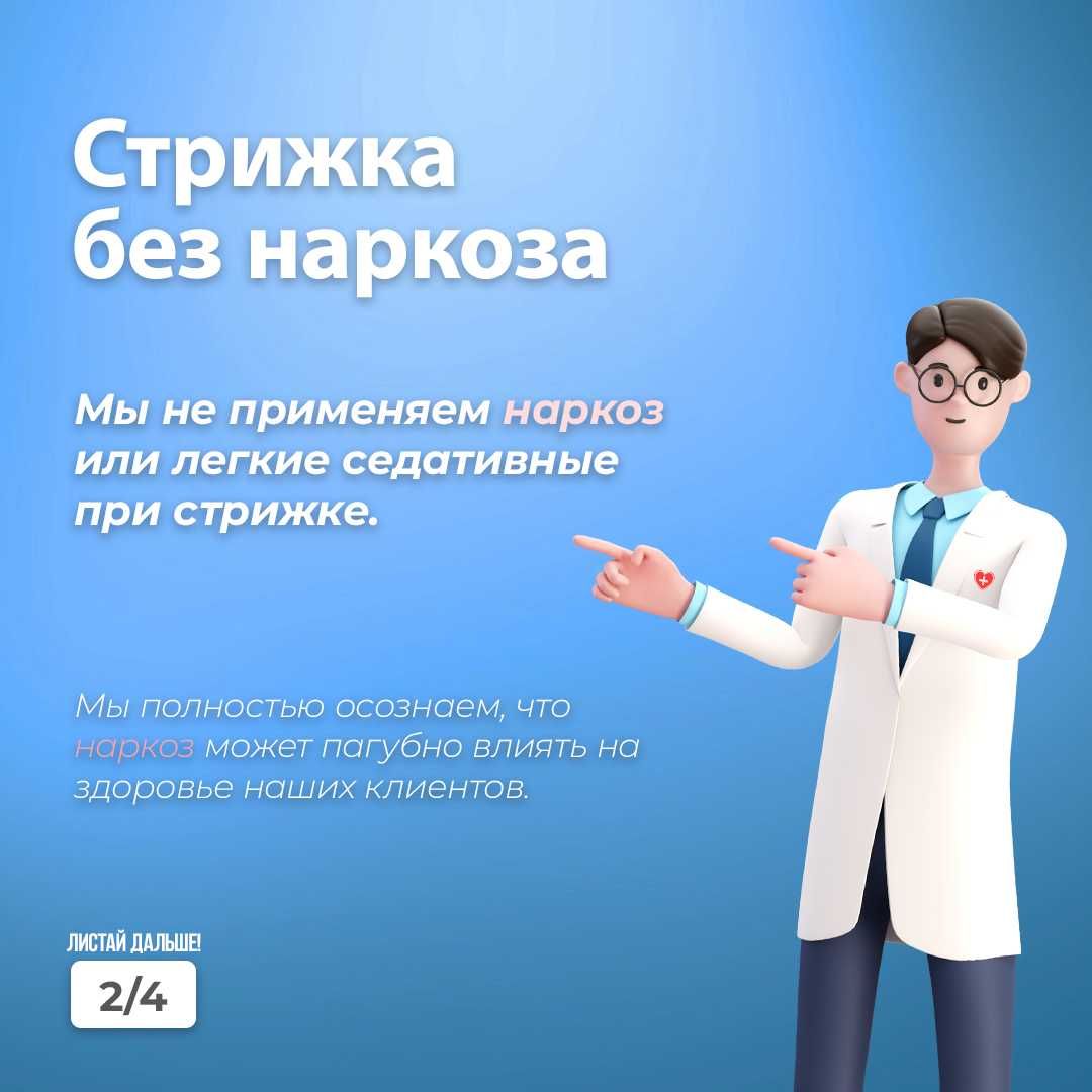 Надоела шерсть в доме и на одежде? | Груминг выезд в течении 30 минут