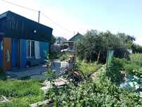 Продам дачу с насаждениями