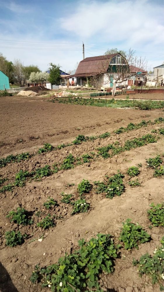 Продам 2 дачи можно по отдельности