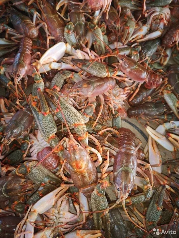 Продаётся домашняя продукция, соленье, полуфабрикаты