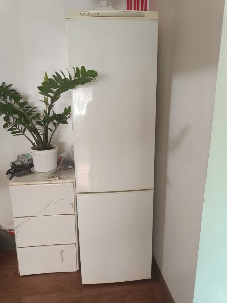 Холодильник BEKO