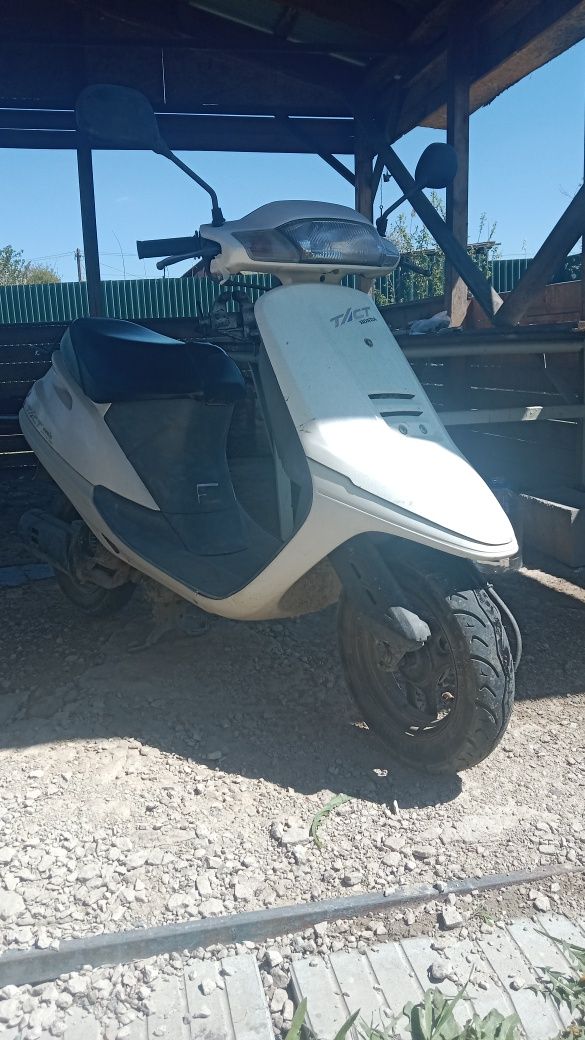 Скутер Honda Tact 24