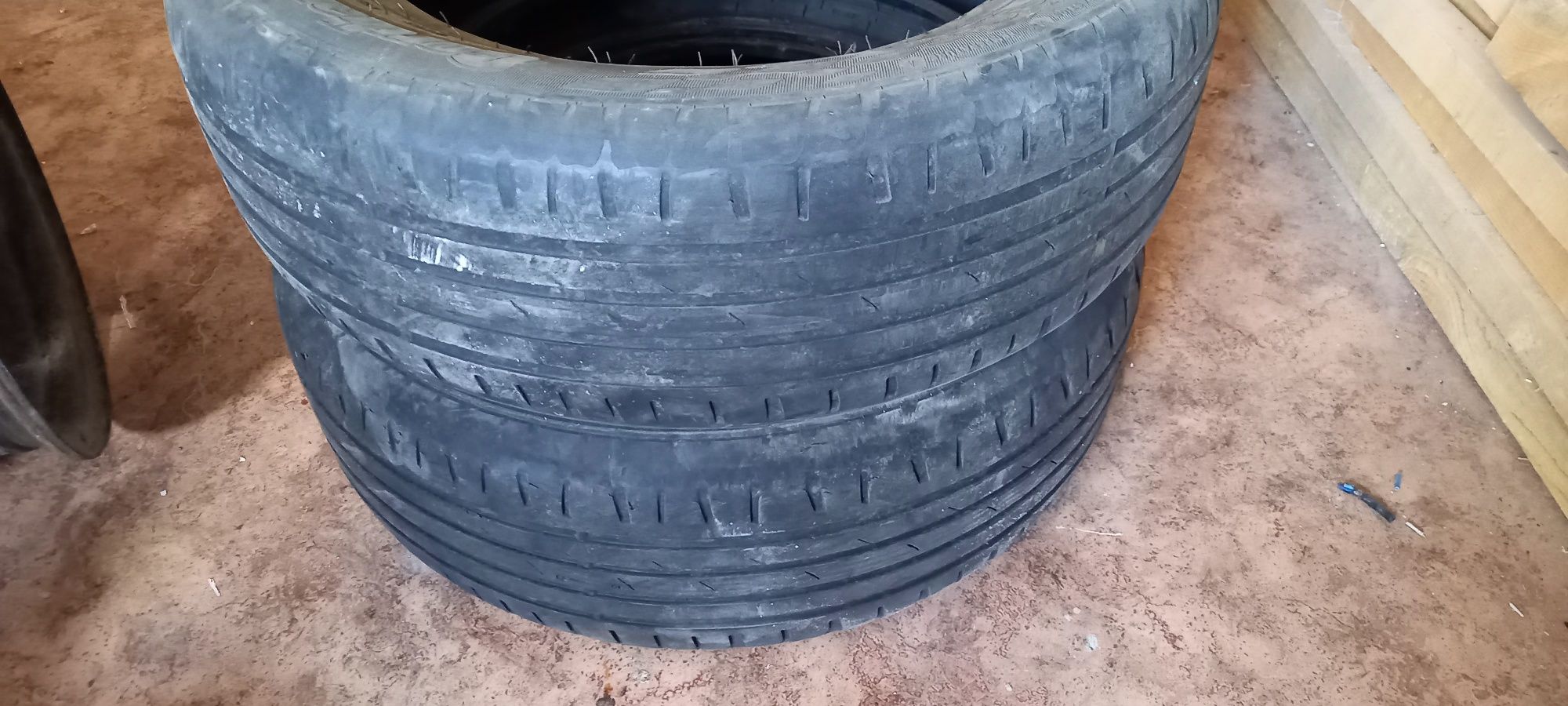 Cordiant sport 3  летние шины