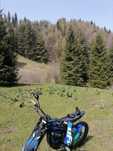 TALARIA sting TL 4000