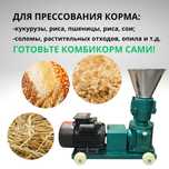Гранулятор 1000 кг тонна кг/час  100 кг/час, 150 кг/час 350кг/час