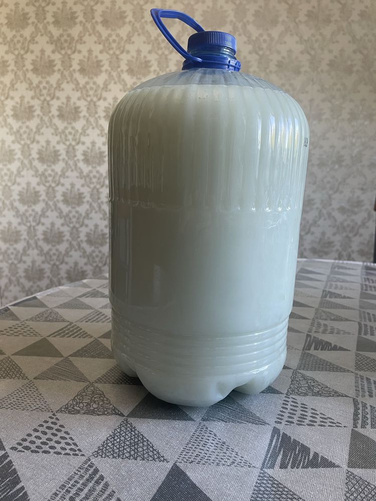 Кумыс домашнего производства